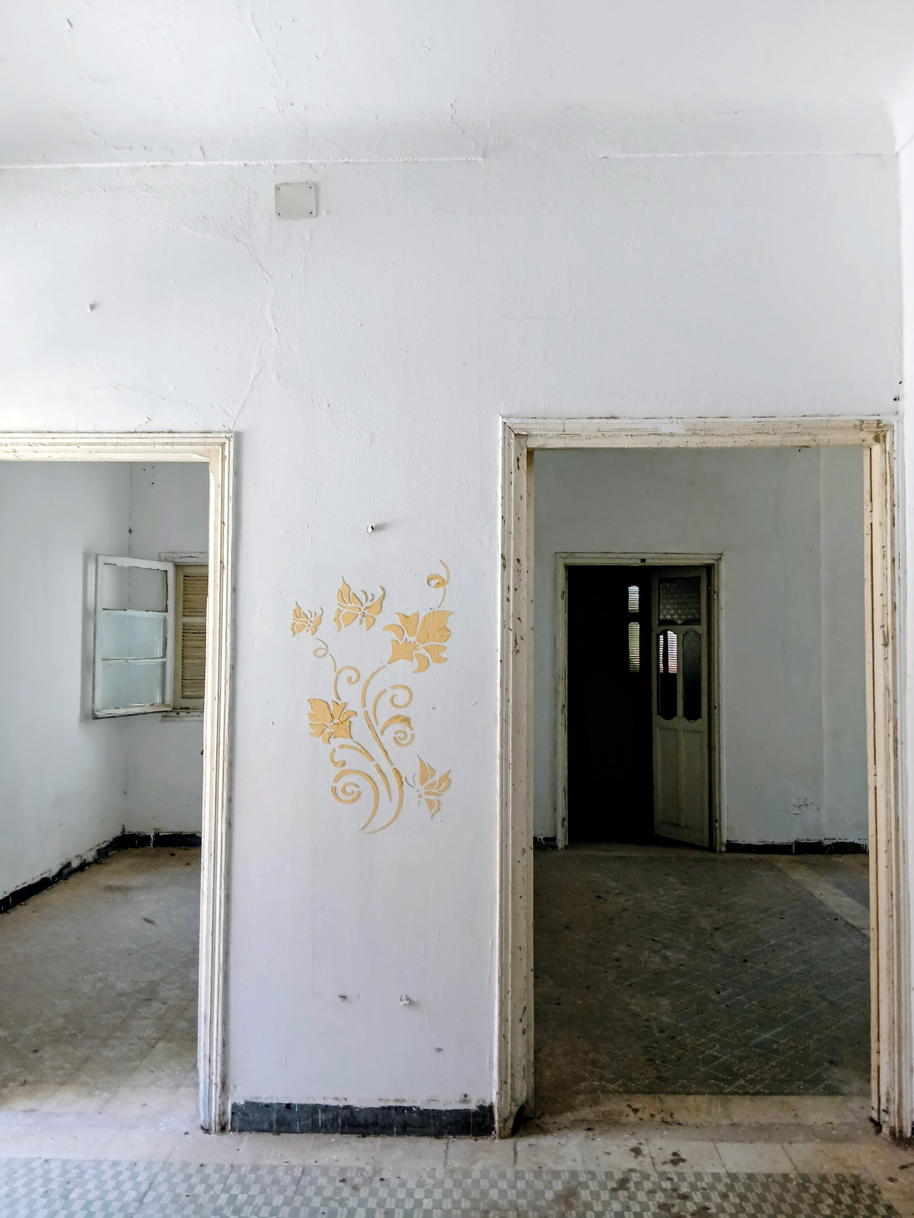 Le Bardo&nbsp;Bouchoucha&nbsp;Vente&nbsp;Appart. 5 pi�ces+&nbsp;Appartement s 5 � cit� bouchoucha
