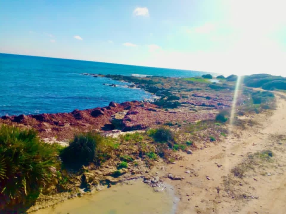 Kelibia&nbsp;Kerkouane&nbsp;Terrain&nbsp;Terrain nu&nbsp;Terrain a kerkouane