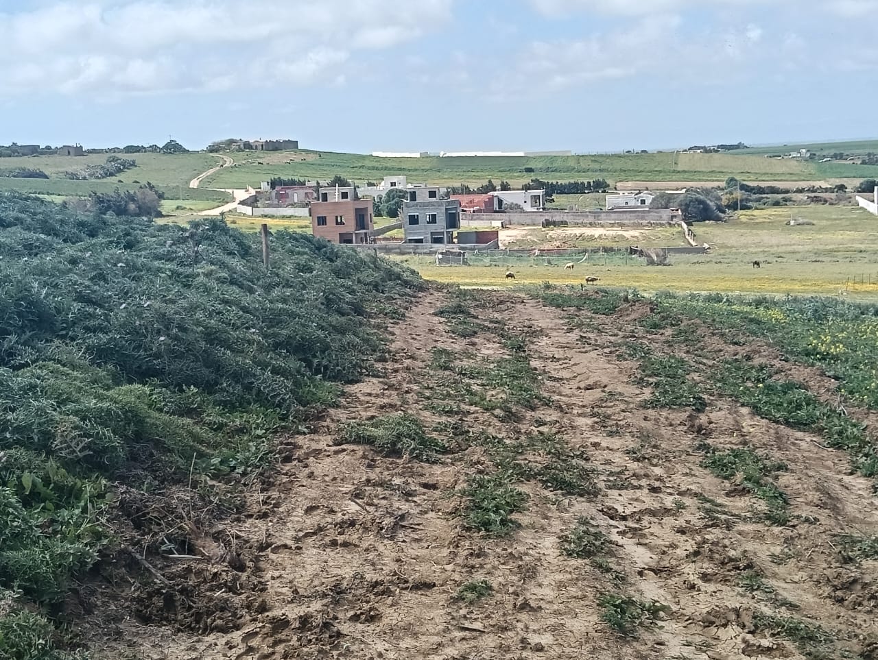 Kelibia&nbsp;Kelibia&nbsp;Terrain&nbsp;Terrain nu&nbsp;Des terrains a tamezrat k�libia