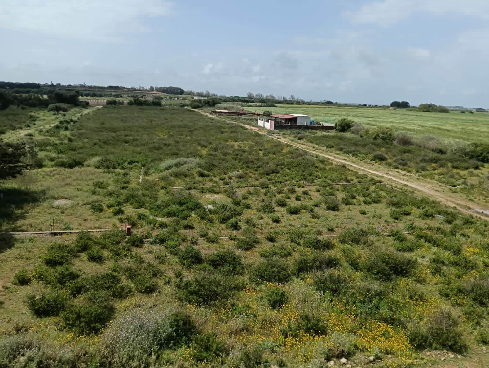 Kelibia&nbsp;Azmour&nbsp;Terrain&nbsp;Terrain nu&nbsp;Un terrain kelibia azmour