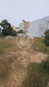 Hammamet&nbsp;Cite El Kharroub&nbsp;Vente&nbsp;Surfaces&nbsp;Terrain    hamamet ref798a