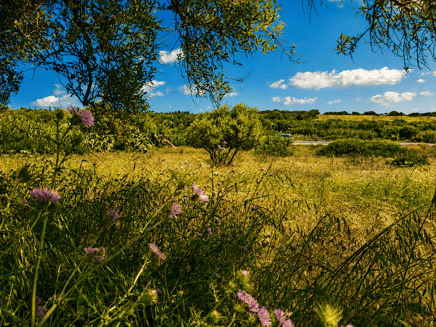 El Haouaria&nbsp;Zaouiet El Mgaies&nbsp;Terrain&nbsp;Terrain nu&nbsp;Terrain habitation ou commercial � el haouaria