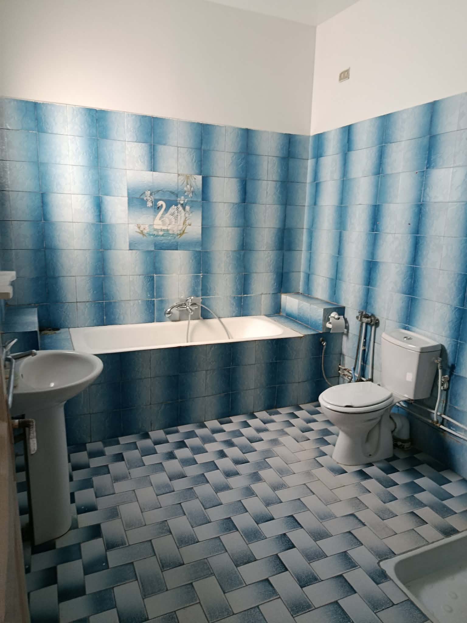 Sfax Est&nbsp;Cite El Habib&nbsp;Location&nbsp;Maisons&nbsp;Villa avec garage et jardin  residence familiale
