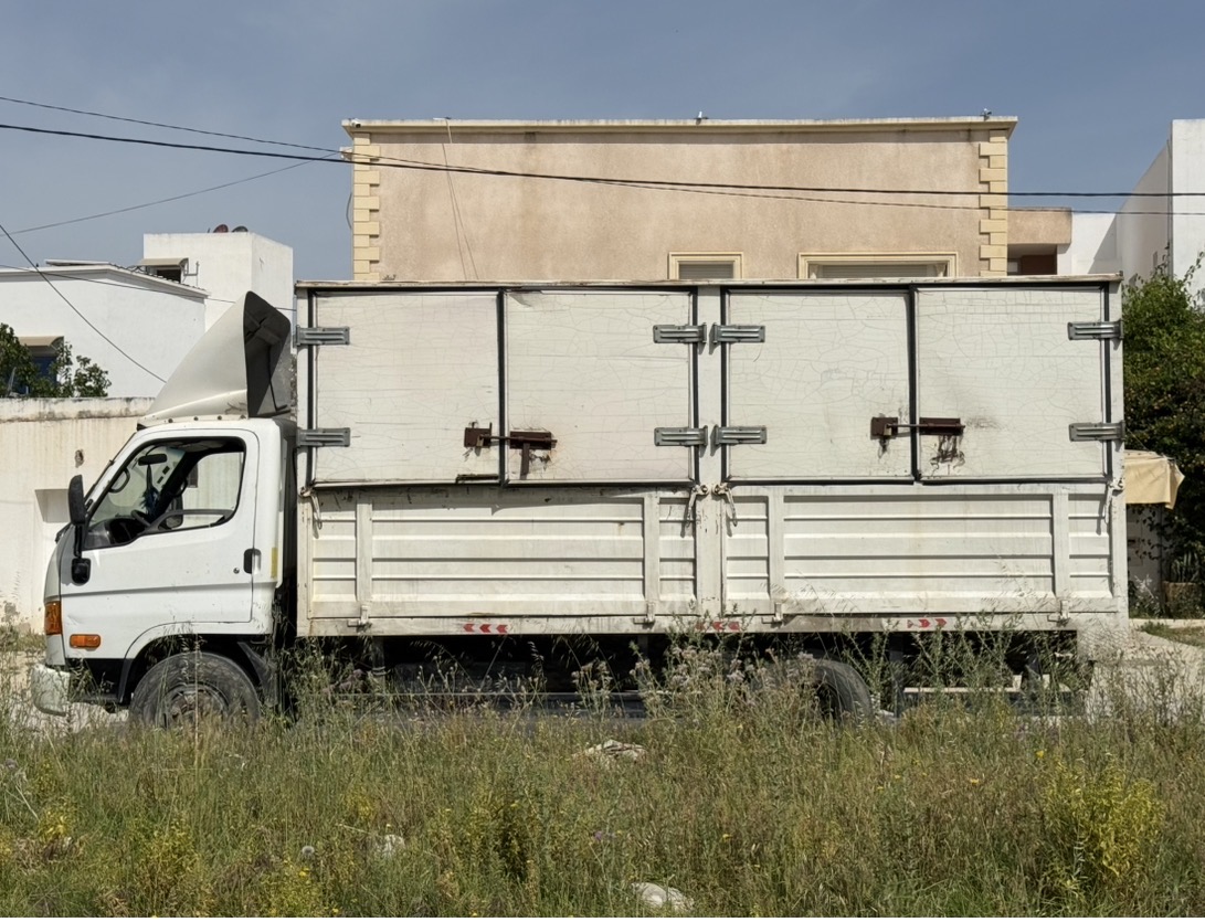 La Marsa&nbsp;Sidi Daoud&nbsp;Hyundai&nbsp;Autre Mod�le&nbsp;Hyundai poid lourd en excellent �tat