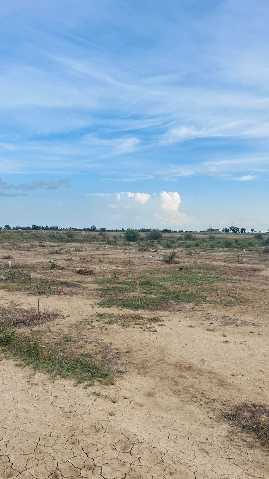 Bou Ficha&nbsp;Bou Ficha&nbsp;Terrain&nbsp;Terrain nu&nbsp;Terrain boufich
