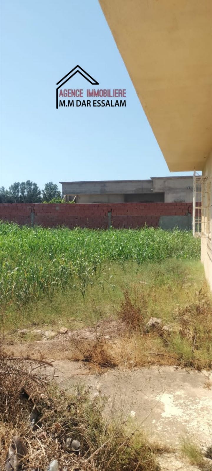 El Haouaria&nbsp;El Gorfa&nbsp;Vente&nbsp;Maisons&nbsp;Maison une maison spacieuse avec un garage