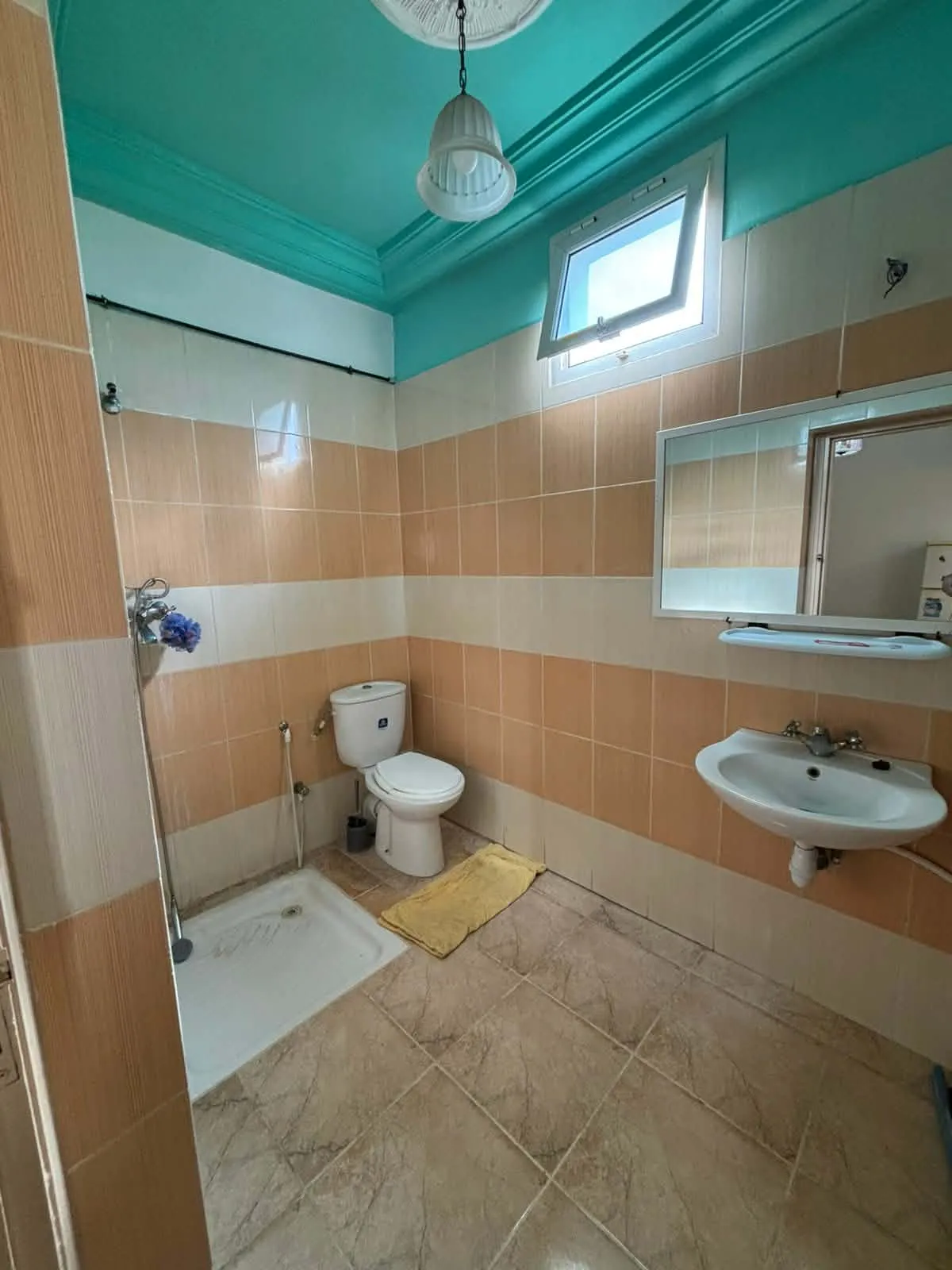 El Menzah&nbsp;El Menzah 9&nbsp;Location&nbsp;Appart. 1 pi�ce&nbsp;Studio meubl� bien �quip�e