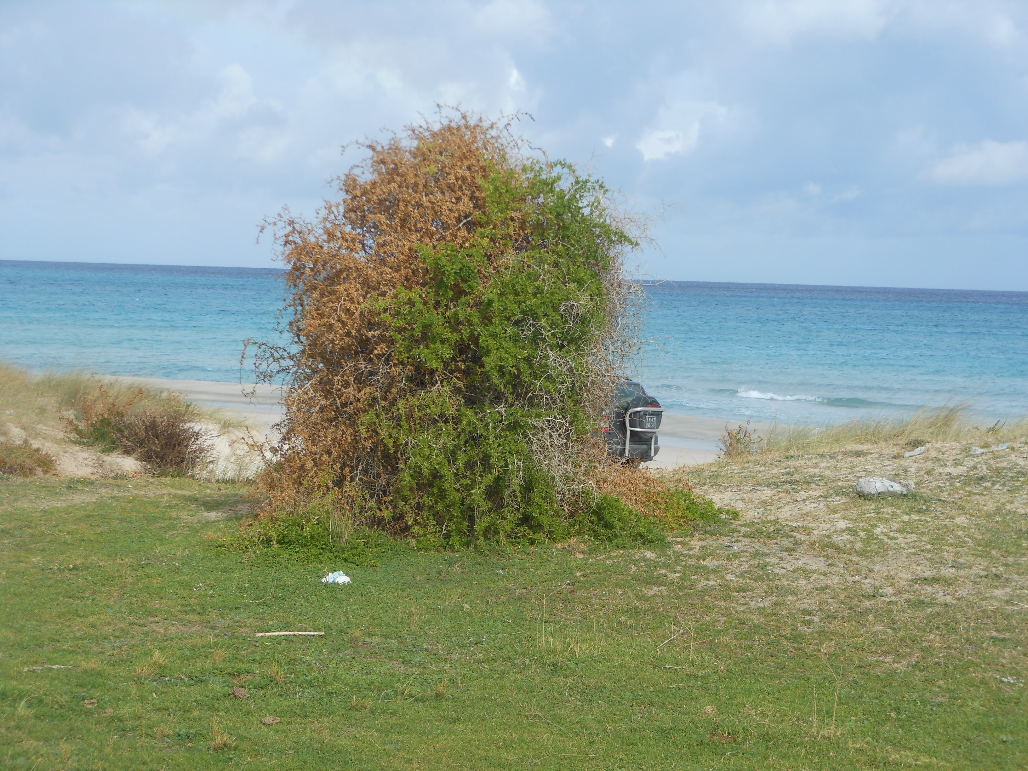 Hammam El Ghezaz&nbsp;Ezzahra&nbsp;Terrain&nbsp;Terrain nu&nbsp;Offre d investissement au bord de la mer