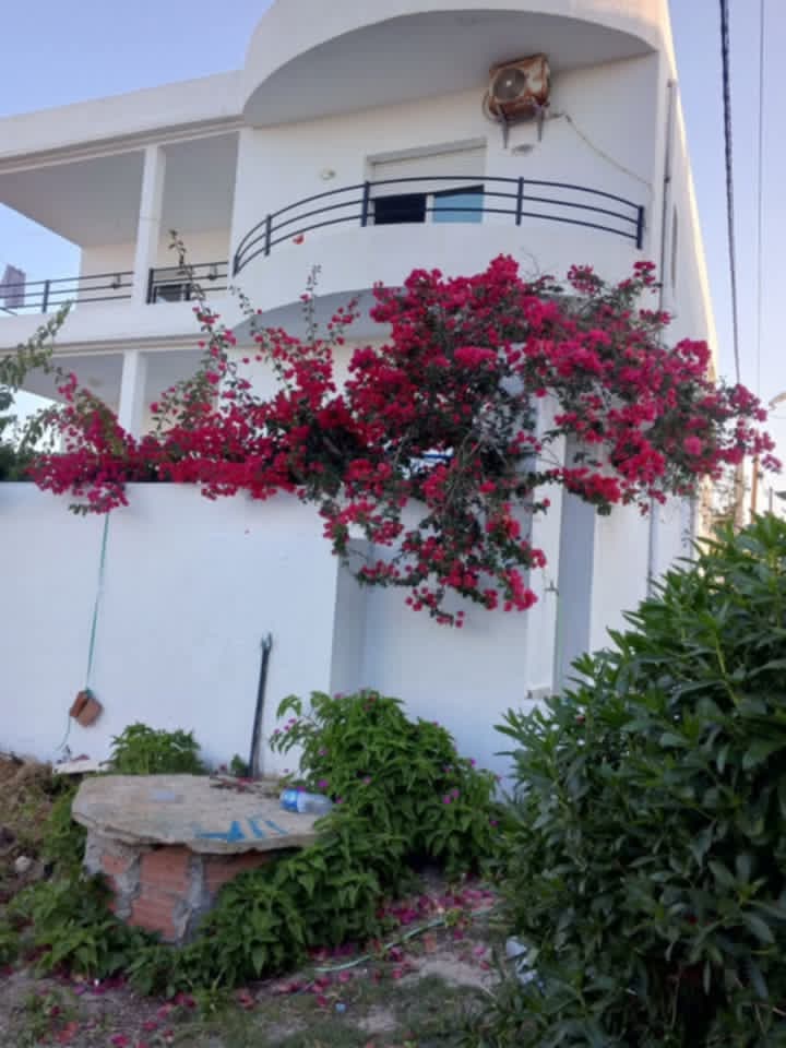 Kelibia&nbsp;Dar Allouche&nbsp;Location vacances&nbsp;Appart. 3 pi�ces&nbsp;Maison daar alouch