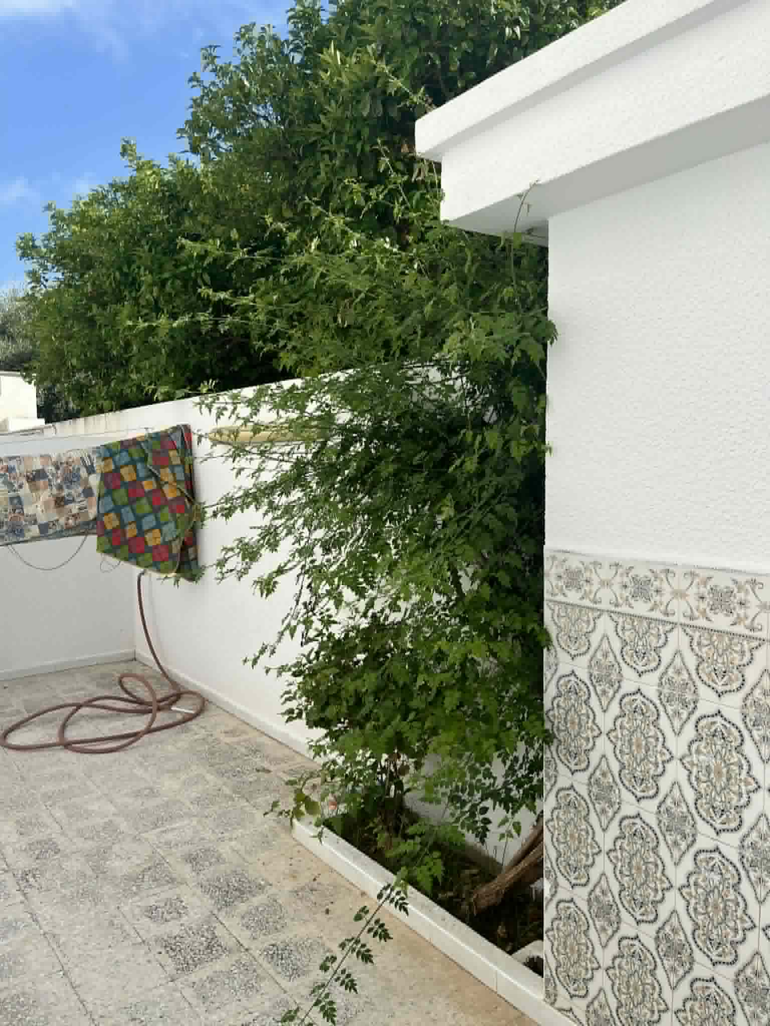 Nabeul&nbsp;Cite Jasmins Simpar&nbsp;Location vacances&nbsp;Appart. 1 pi�ce&nbsp;Studio s1 meubl� � cit� les jasmins