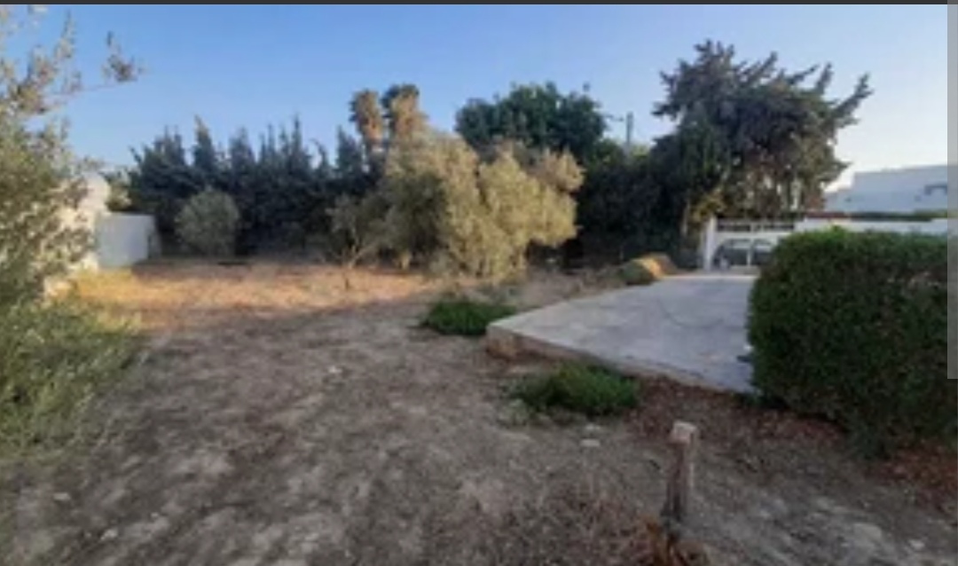 Ariana Ville&nbsp;Cite Ennasr 1&nbsp;Terrain&nbsp;Terrain nu&nbsp;Terrain 800m du clinique amilcar