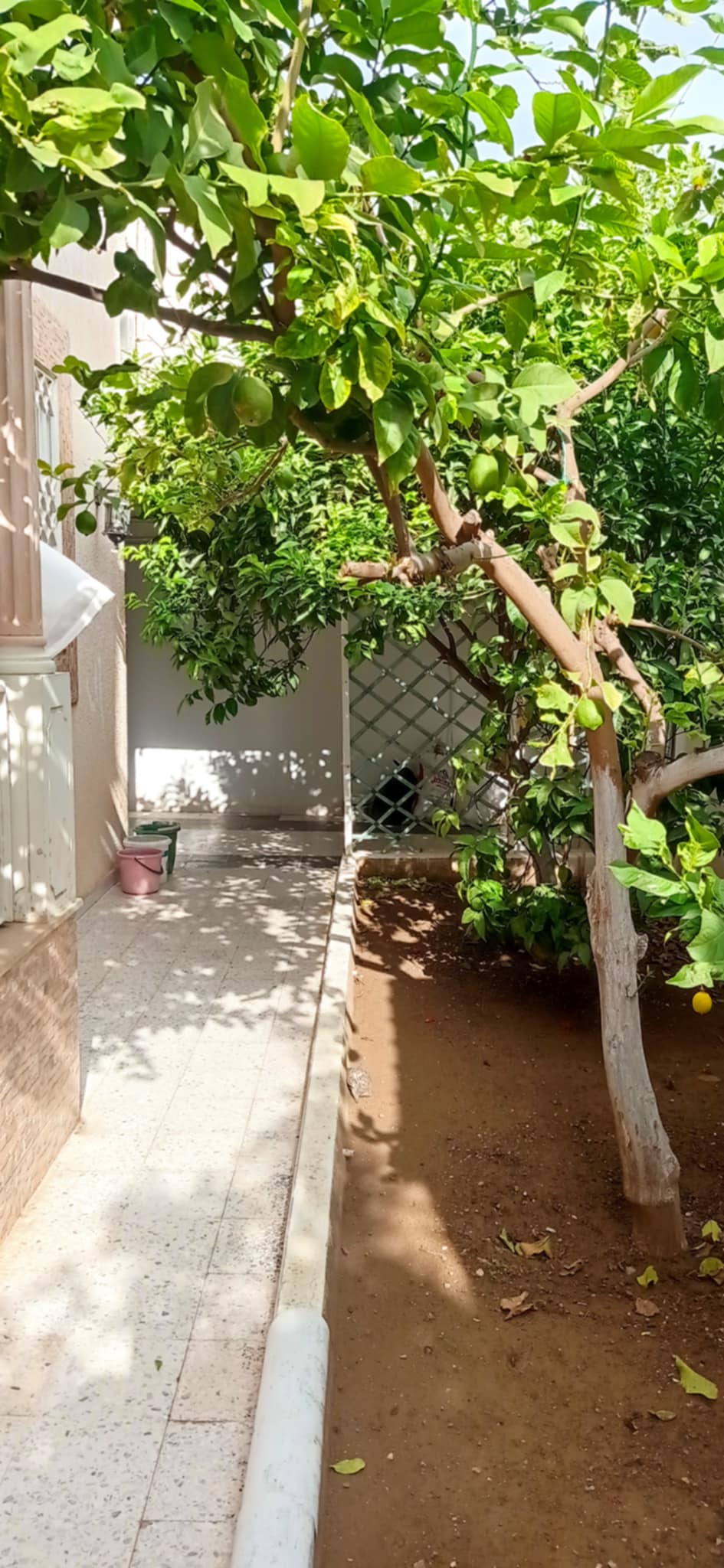 El Mourouj&nbsp;El Mourouj&nbsp;Vente&nbsp;Maisons&nbsp;Villa sur 3 niveaux