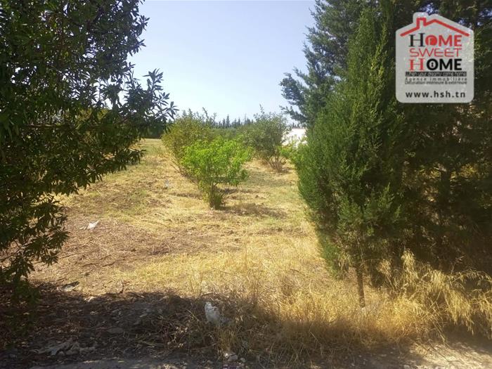 Mornag&nbsp;Mornag&nbsp;Terrain&nbsp;Terrain nu&nbsp;Terrain villa almora � mornag