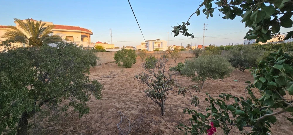 Sfax Sud&nbsp;Merkez Sahnoun&nbsp;Terrain&nbsp;Terrain nu&nbsp;Terrain � gremda km7