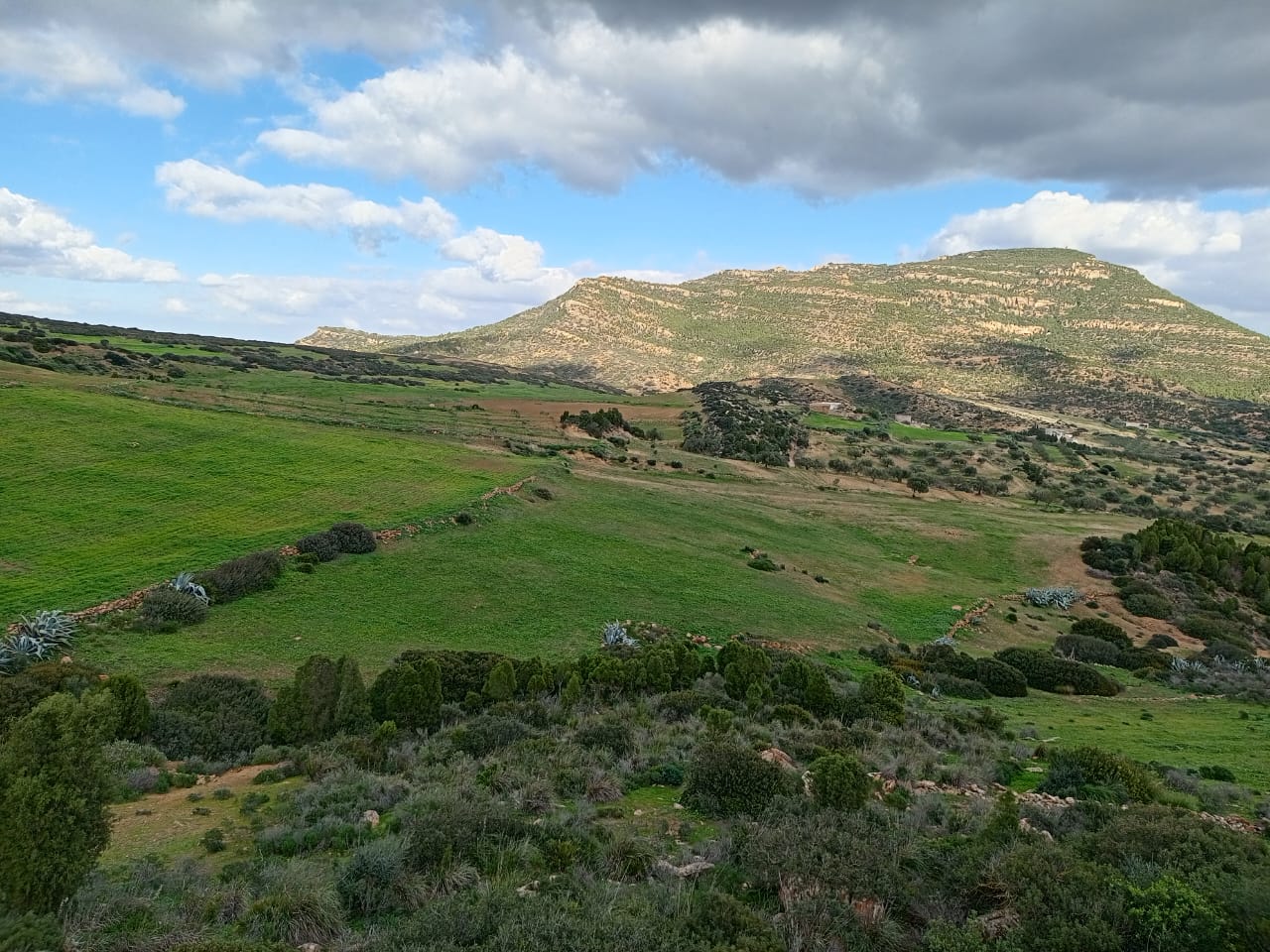Hammamet&nbsp;Hammamet&nbsp;Terrain&nbsp;Terrain agricole&nbsp;Av 10 hectares nu � hammamet 99958728