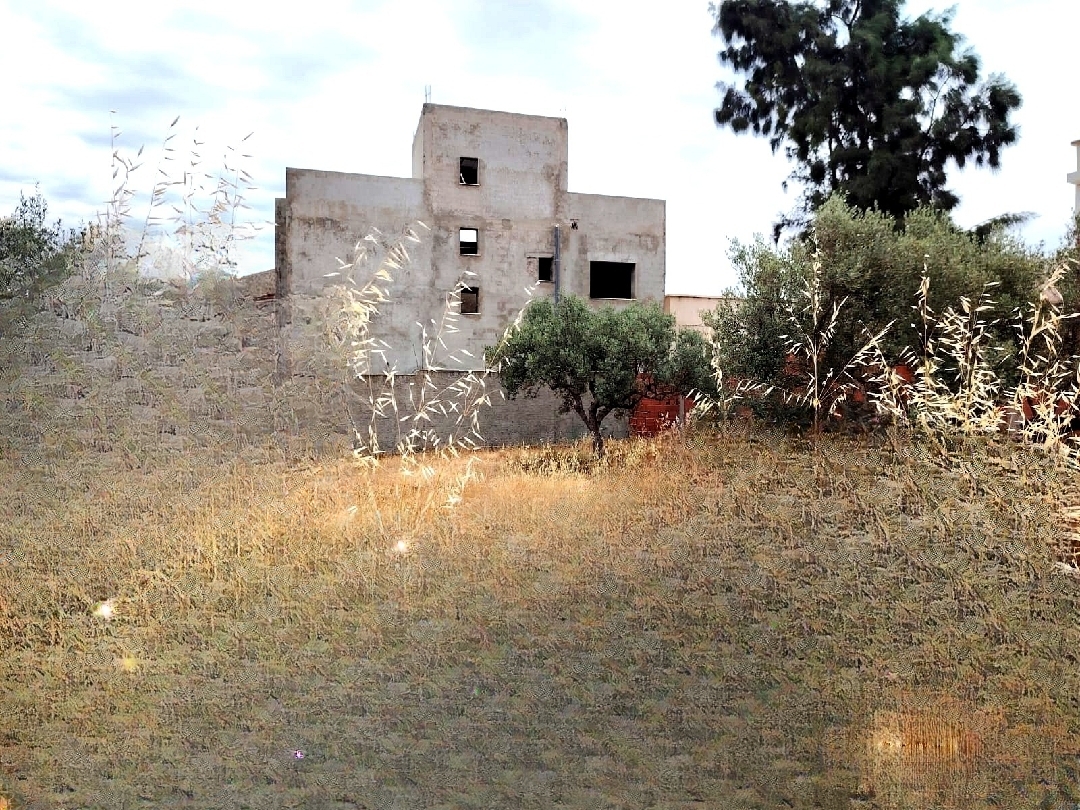 Soliman&nbsp;Dhahri&nbsp;Vente&nbsp;Surfaces&nbsp;Terrain surface agricole