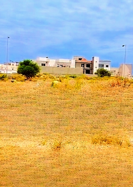 Hammam Chatt&nbsp;Borj Cedria&nbsp;Vente&nbsp;Surfaces&nbsp;Terrain vaste en lotissement