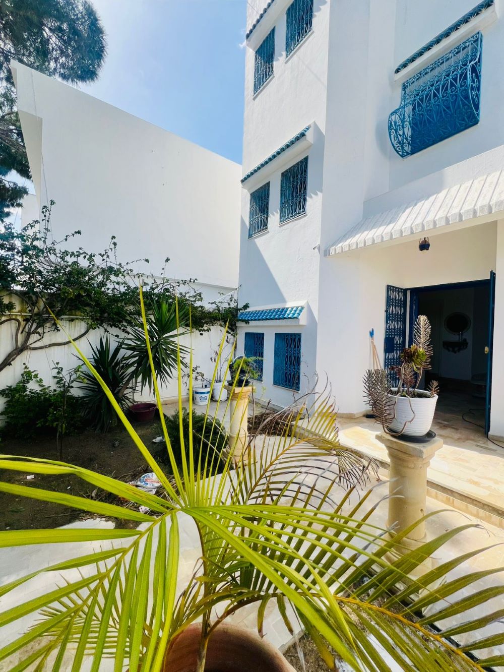 Hammamet&nbsp;Hammamet&nbsp;Vente&nbsp;Maisons&nbsp;V616 maison la palma uj