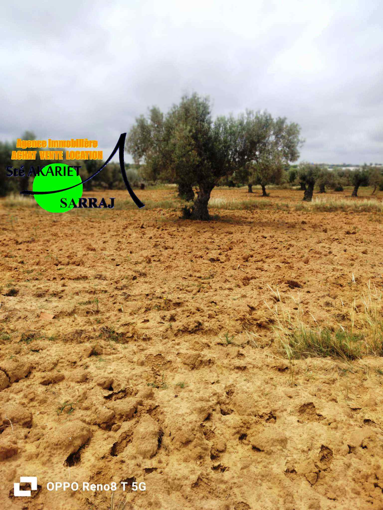 Akouda&nbsp;Chatt Meriem&nbsp;Terrain&nbsp;Terrain agricole&nbsp;Opportunit� terrain d'investissement 14590m rmila