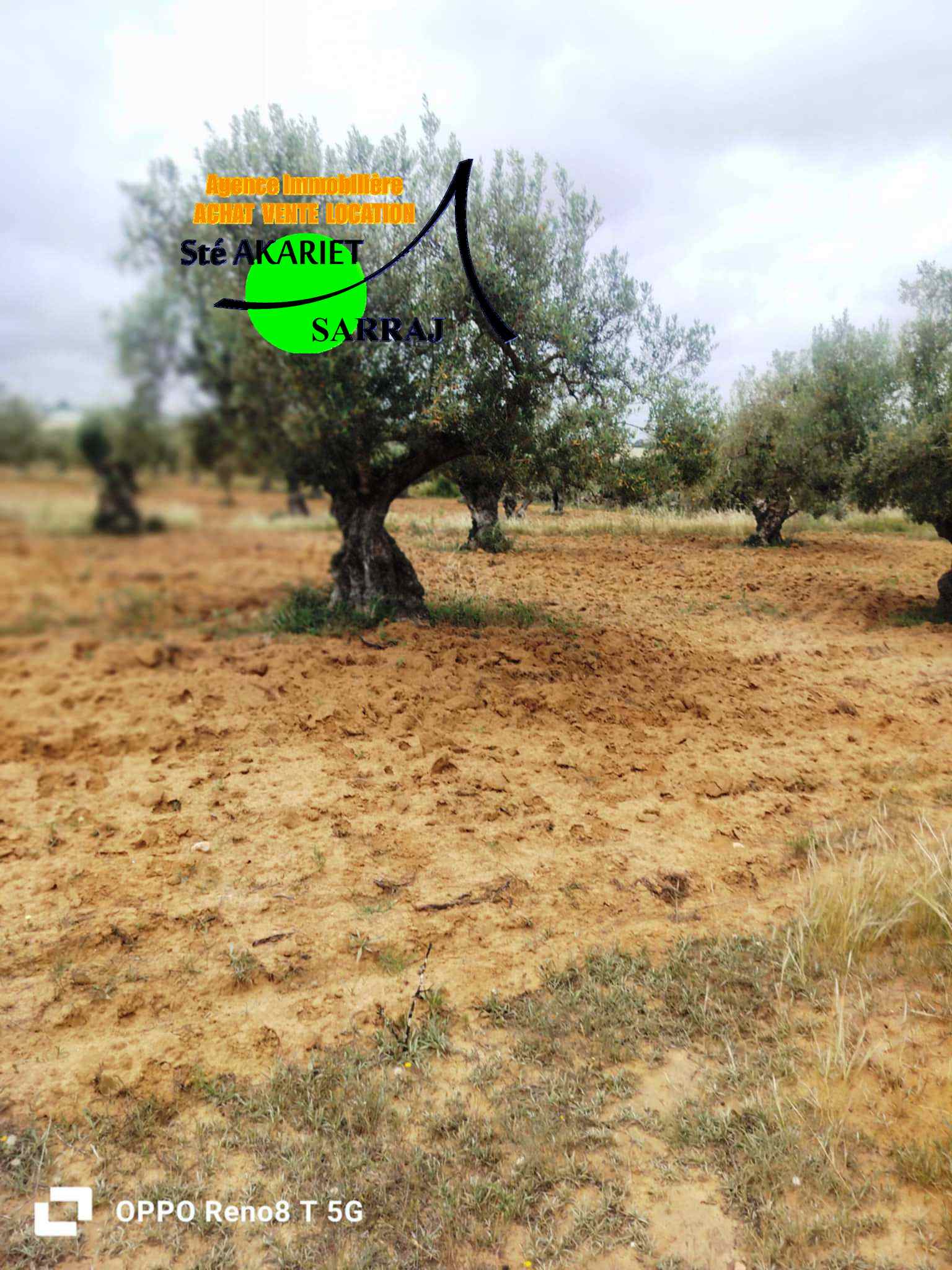 Akouda&nbsp;Chatt Meriem&nbsp;Terrain&nbsp;Terrain agricole&nbsp;Opportunit� terrain d'investissement 14590m rmila