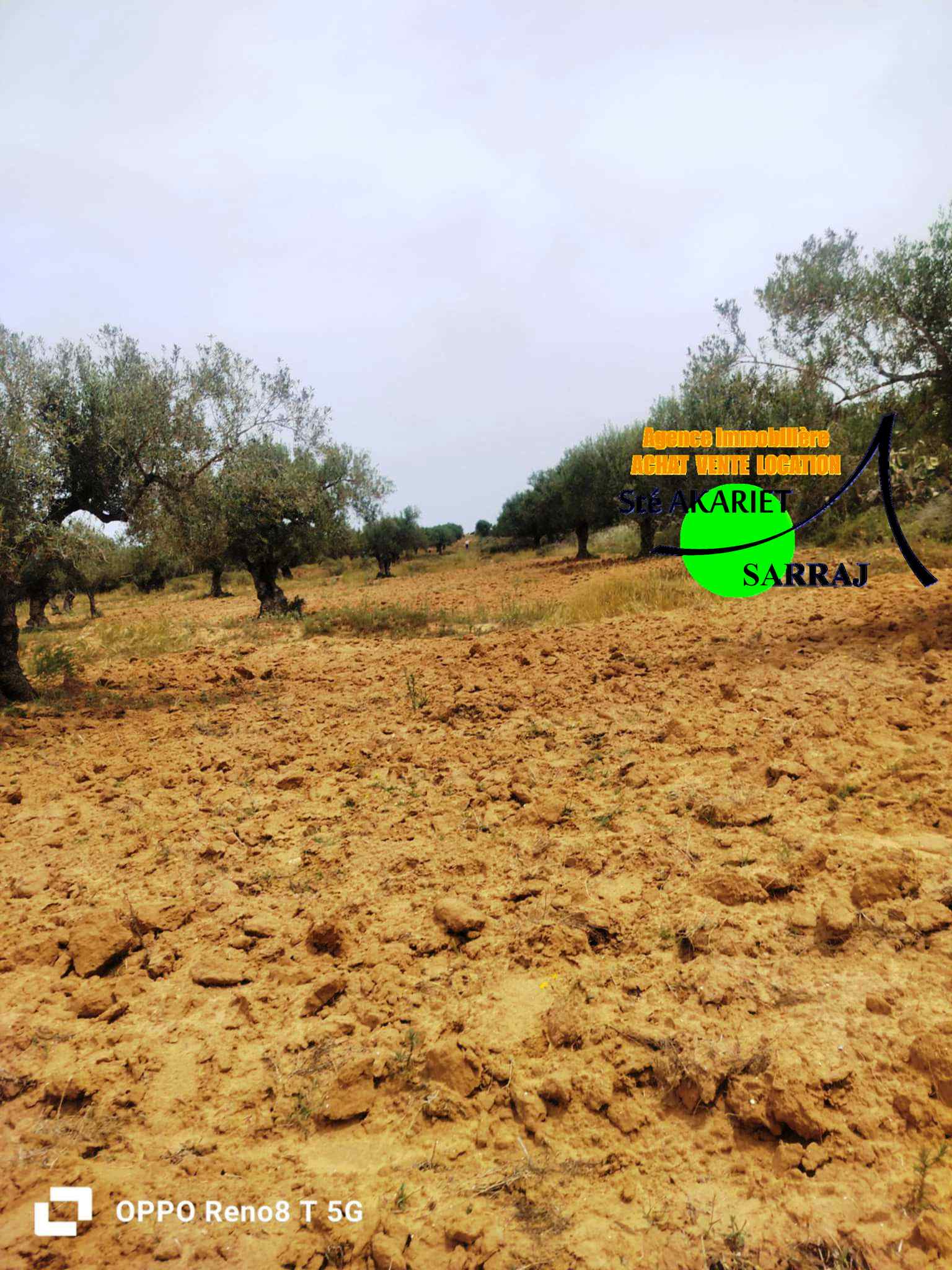 Akouda&nbsp;Chatt Meriem&nbsp;Terrain&nbsp;Terrain agricole&nbsp;Opportunit� terrain d'investissement 14590m rmila