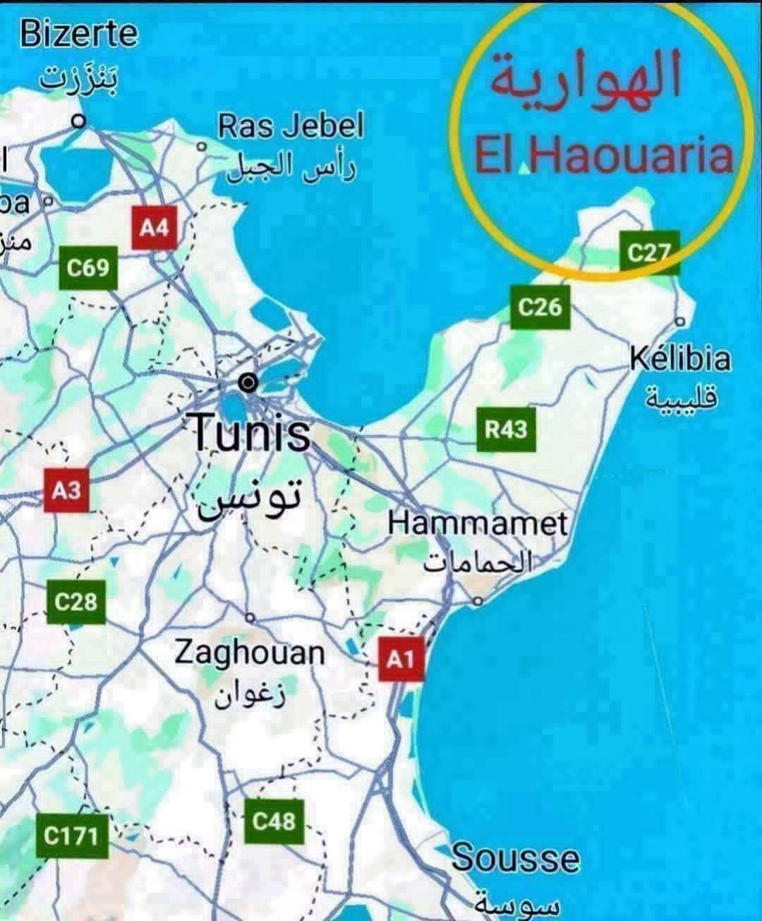 El Haouaria&nbsp;Cite Touristique&nbsp;Terrain&nbsp;Terrain nu&nbsp;Terrain de 600m2 � la plage