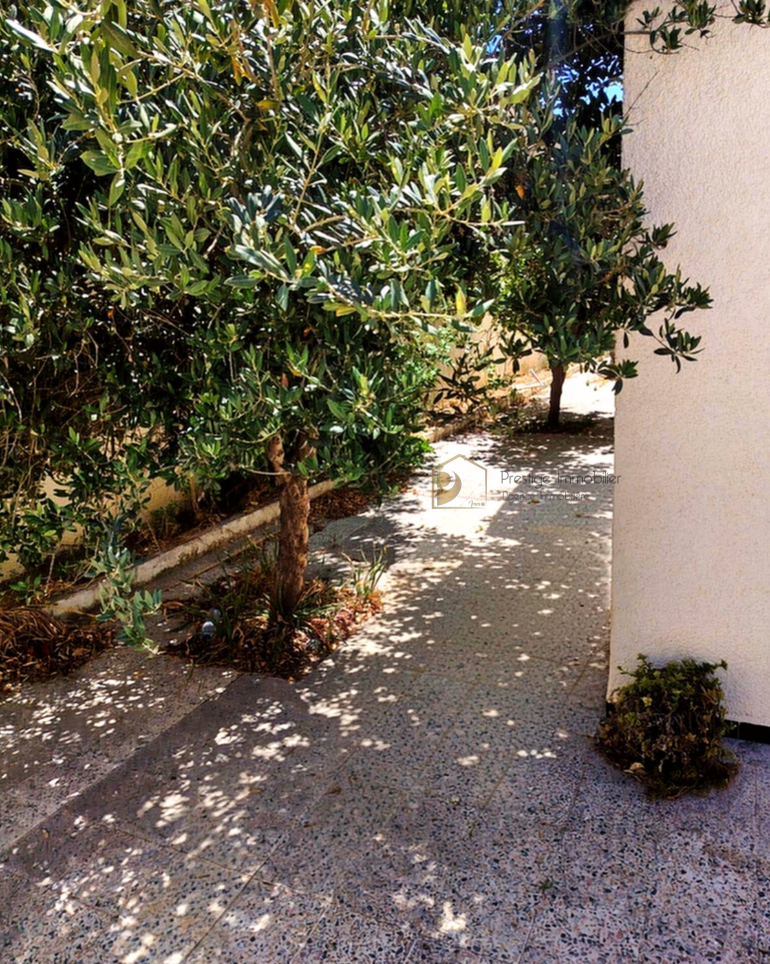 Soliman&nbsp;Soliman&nbsp;Vente&nbsp;Maisons&nbsp;Maison s3 plus un studio
