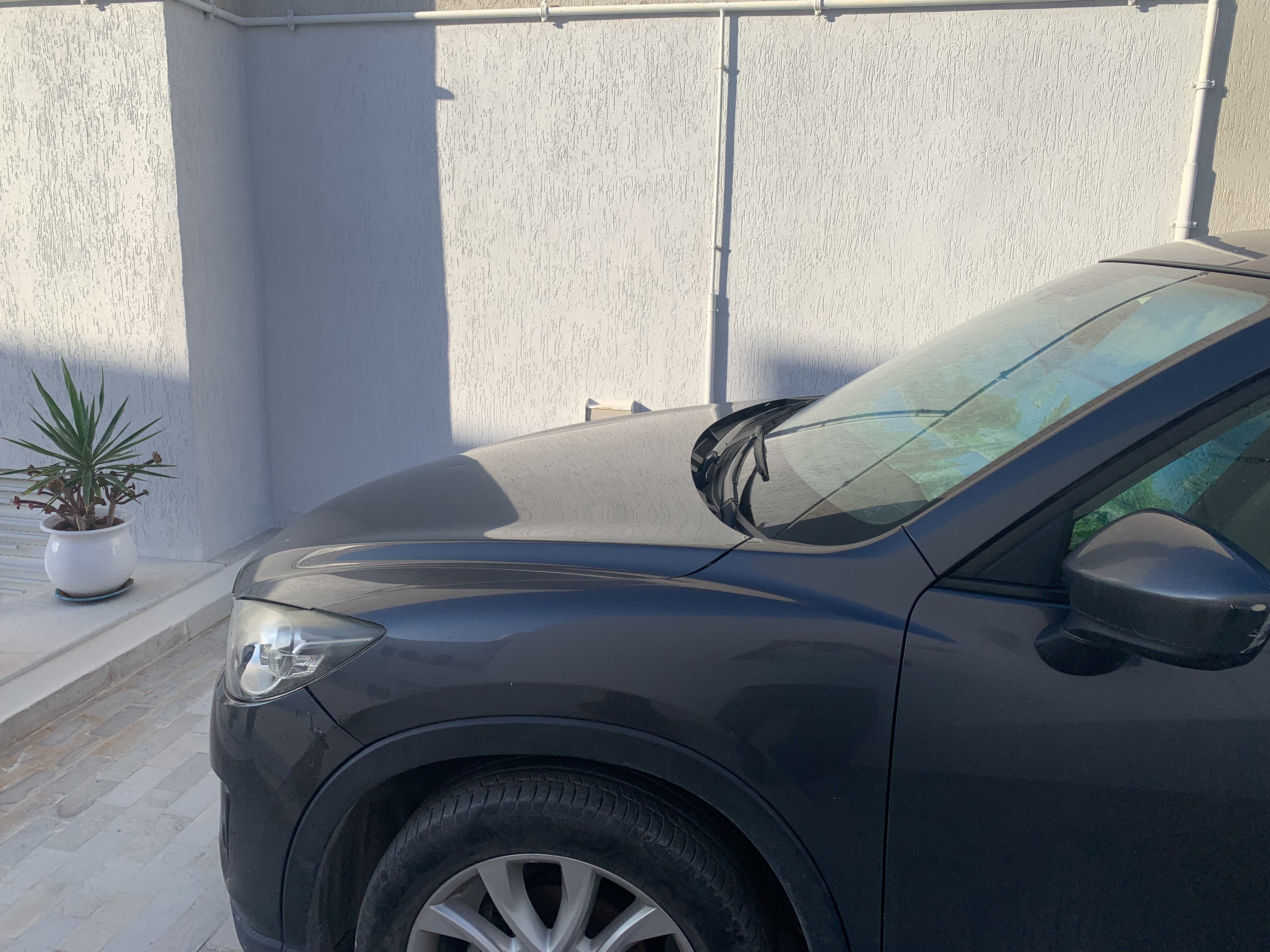 Le Bardo&nbsp;Le Bardo&nbsp;Mazda&nbsp;MX5&nbsp;Mazda cx5  essence