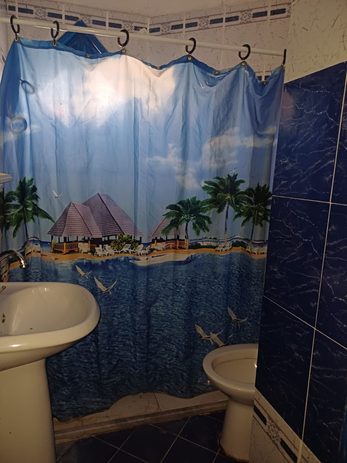 Nabeul&nbsp;Residence Oasis Bleu&nbsp;Location&nbsp;Appart. 3 pi�ces&nbsp;Appartement pour etudiants