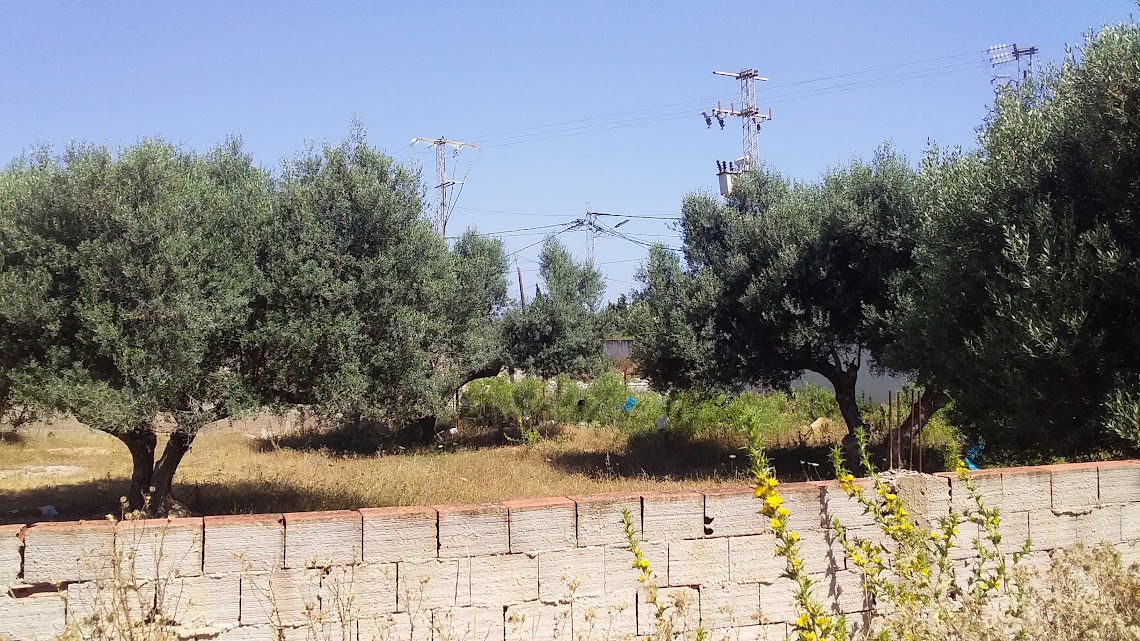 Raoued&nbsp;Borj Touil&nbsp;Terrain&nbsp;Terrain nu&nbsp;Terrain � borj etouil