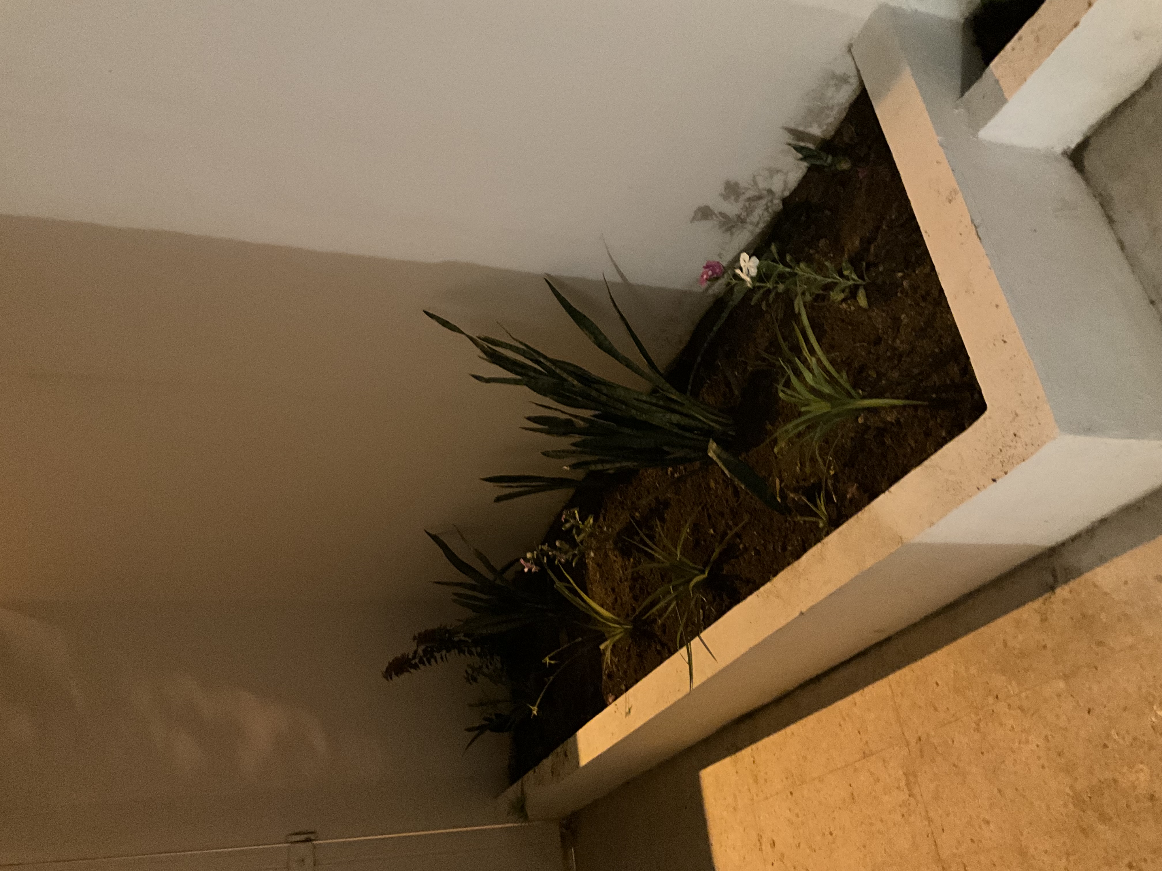 Rades&nbsp;Cite Mohamed Ali&nbsp;Vente&nbsp;Duplex&nbsp;Duplexe lumineux