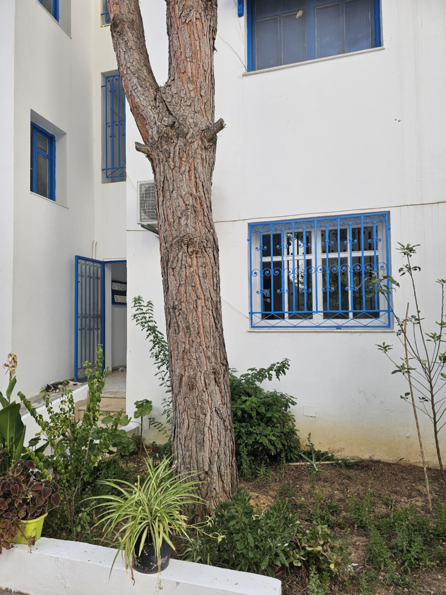 Carthage&nbsp;Sidi Bousaid&nbsp;Location&nbsp;Appart. 3 pi�ces&nbsp;Appartement s2 � sidi bousaid amilcar