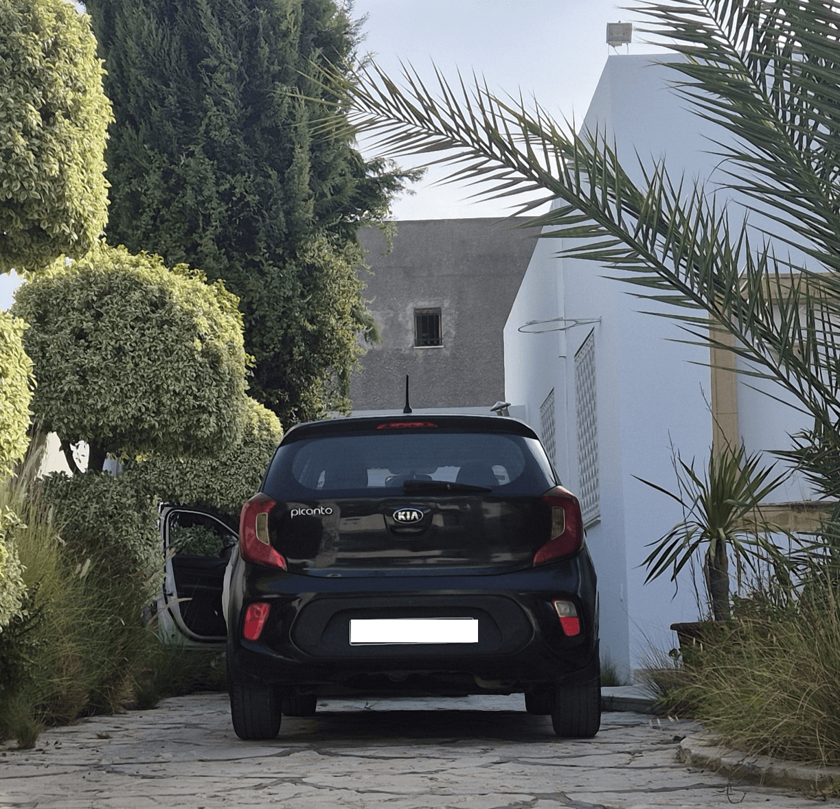 Bou Mhel El Bassatine&nbsp;Bou Mhel&nbsp;Kia&nbsp;Picanto&nbsp;Kia picanto noir