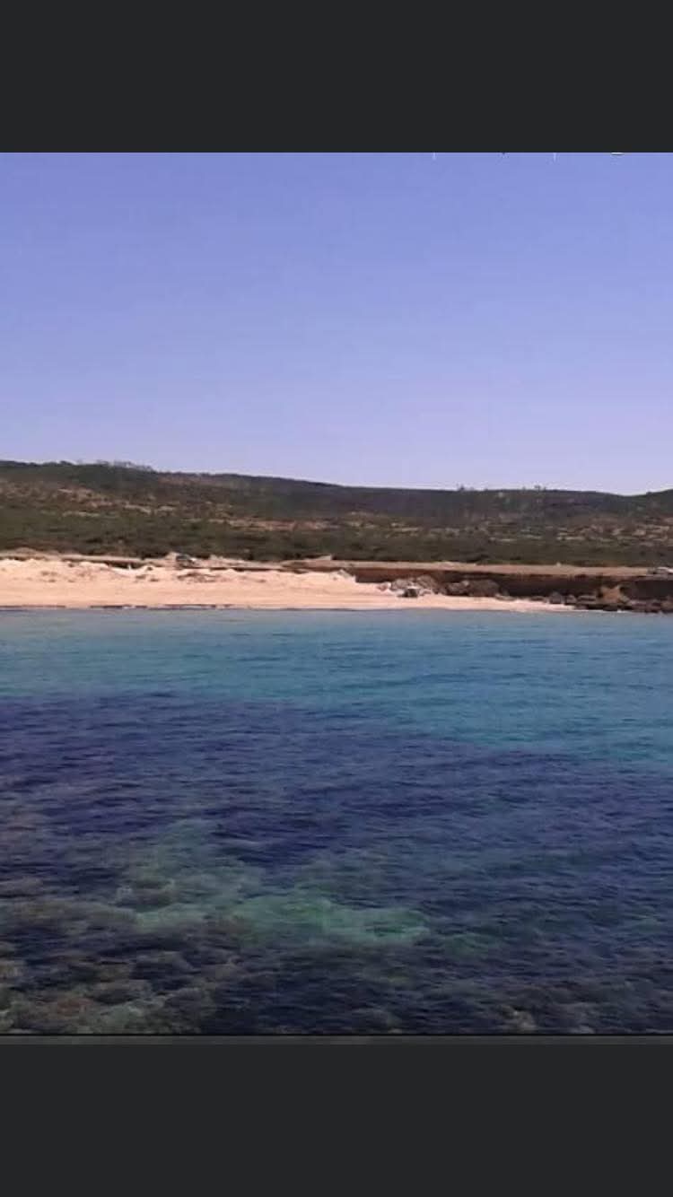 Bizerte Nord&nbsp;Bizerte&nbsp;Terrain&nbsp;Terrain nu&nbsp;Terrain route principale ras engela bni 3ouf