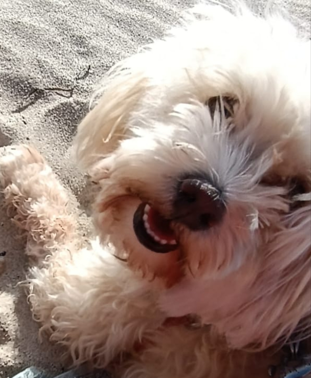 La Chebba&nbsp;La Chebba&nbsp;Location&nbsp;Maisons&nbsp;Vue mer de nombreuses ann�es