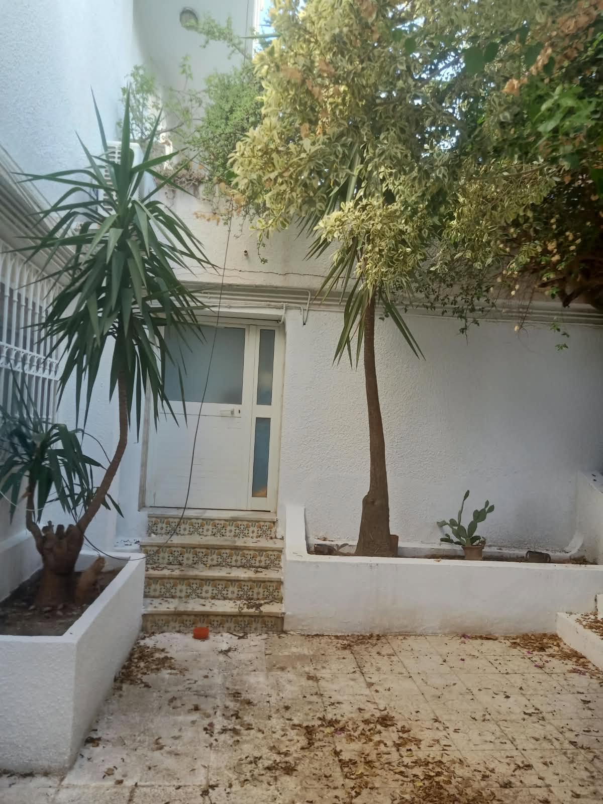 El Menzah&nbsp;El Manar 1&nbsp;Location&nbsp;Appart. 1 pi�ce&nbsp;Beaux rdc de villa s1 meubl�e