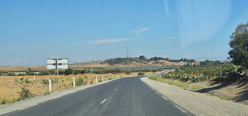 Hammamet&nbsp;Hammamet&nbsp;Terrain&nbsp;Terrain agricole&nbsp;Hectare a sidi jdidi hamammet